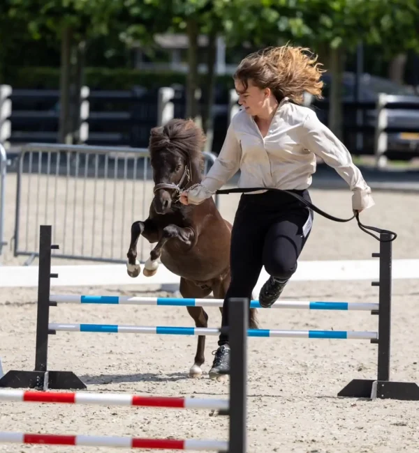 NMPRS Zomershow @faylinnspenrathfotografie