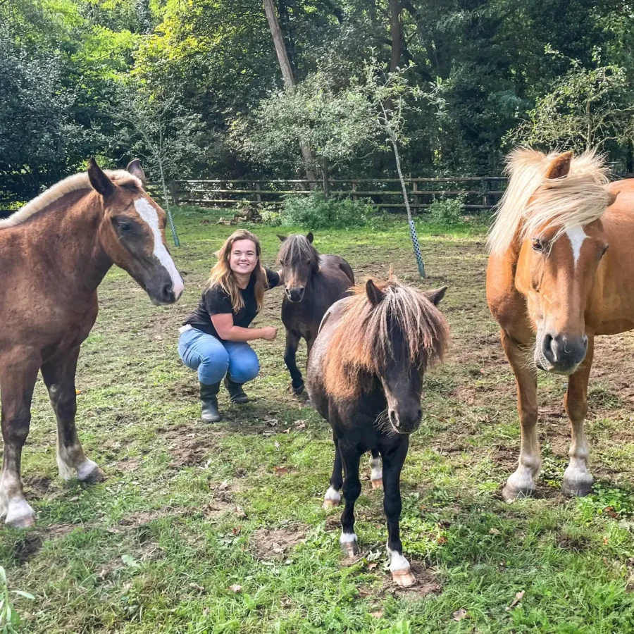 Thessa met paarden